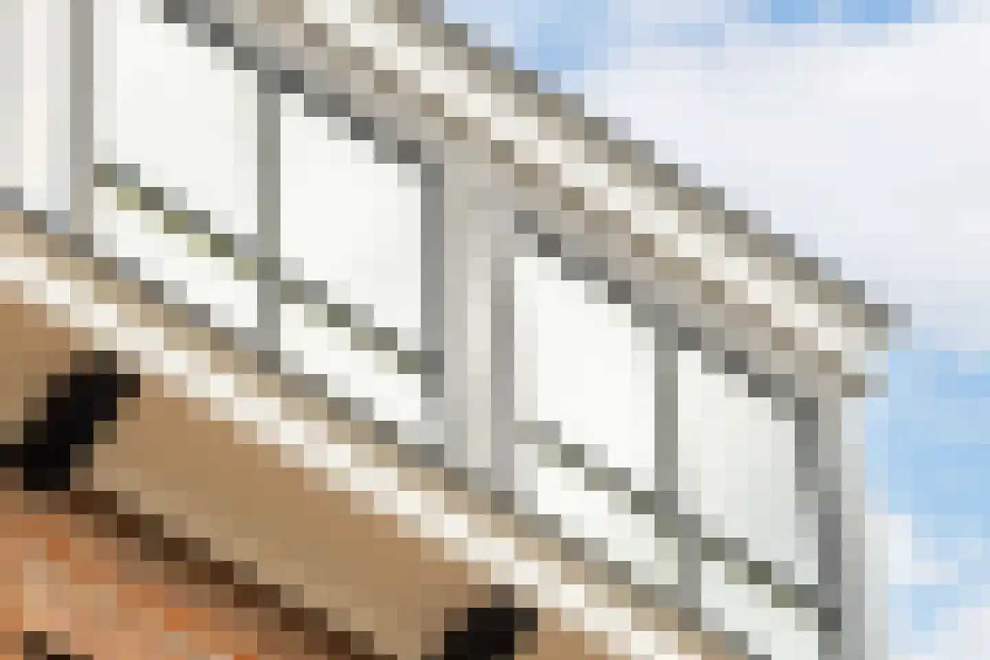 Dam 6 Ameide thumbnail 37