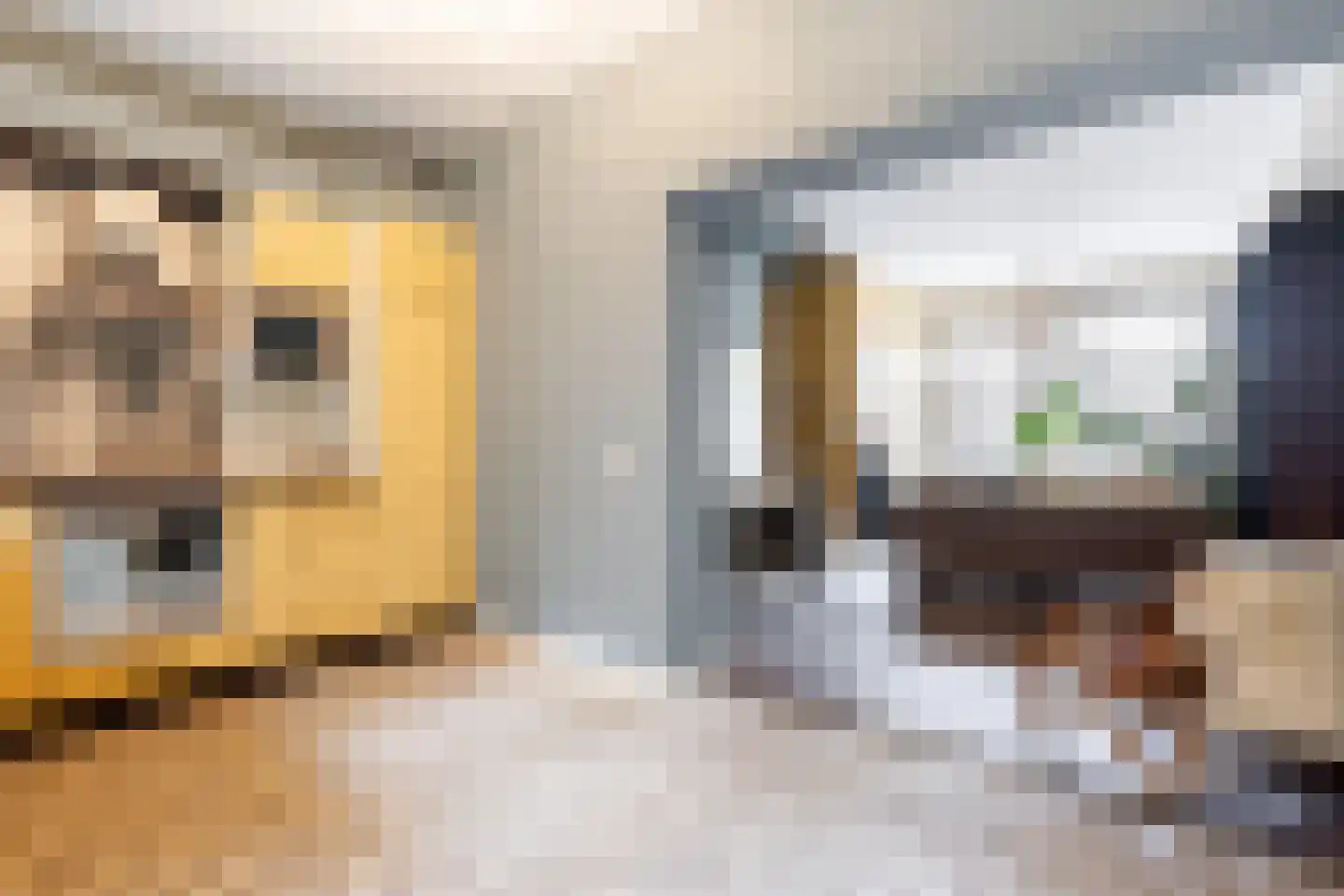 Dam 6 Ameide thumbnail 4