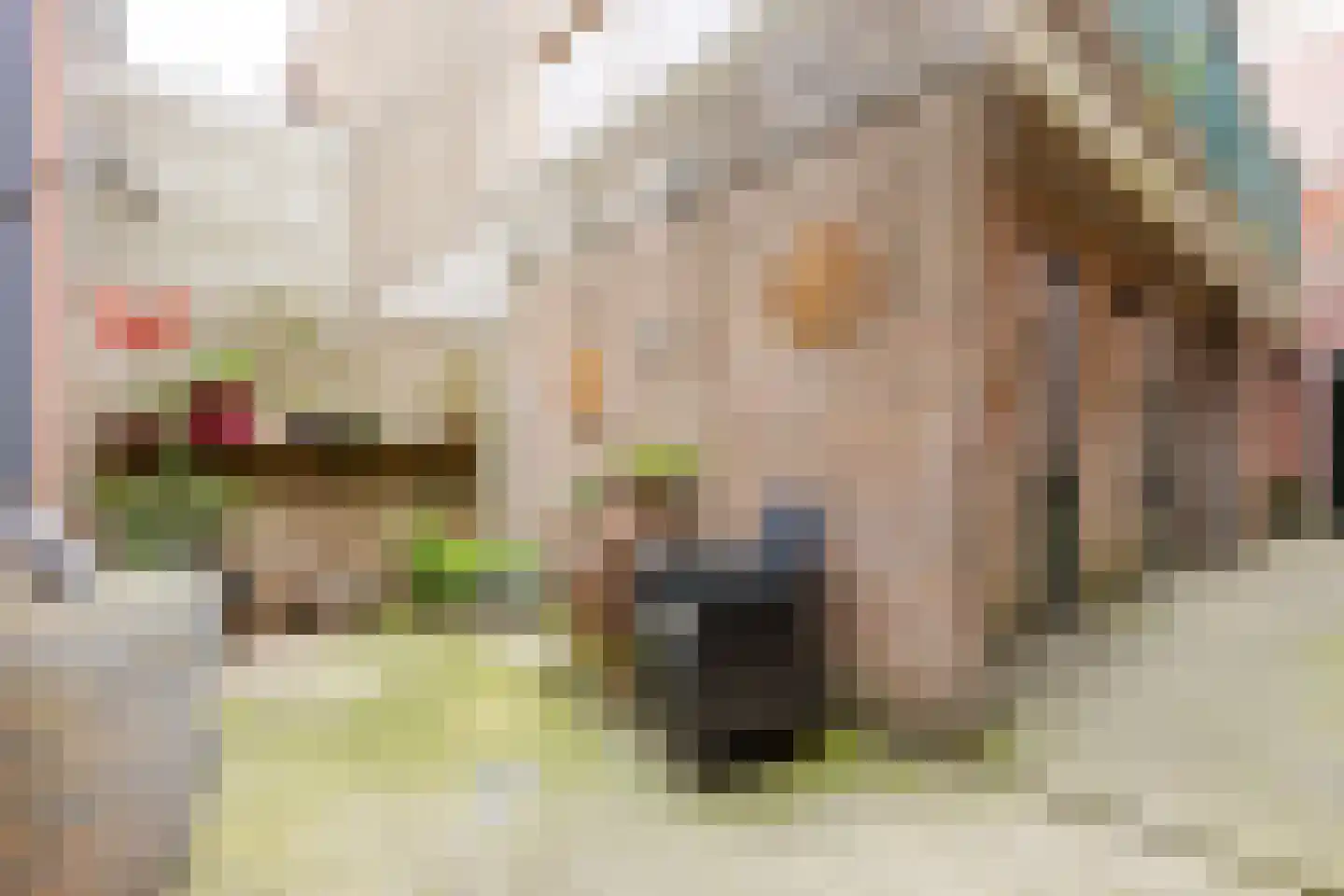Dam 6 Ameide thumbnail 40