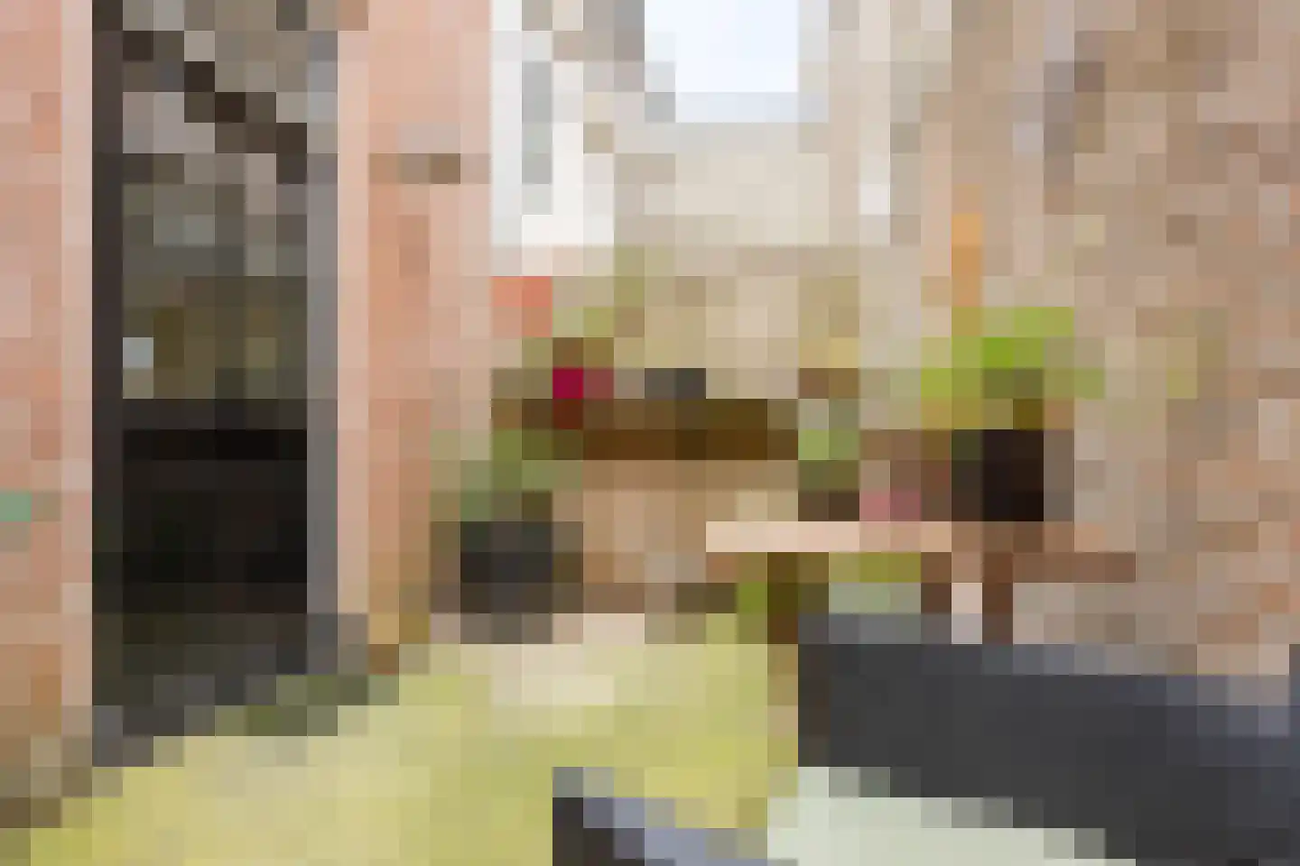 Dam 6 Ameide thumbnail 41
