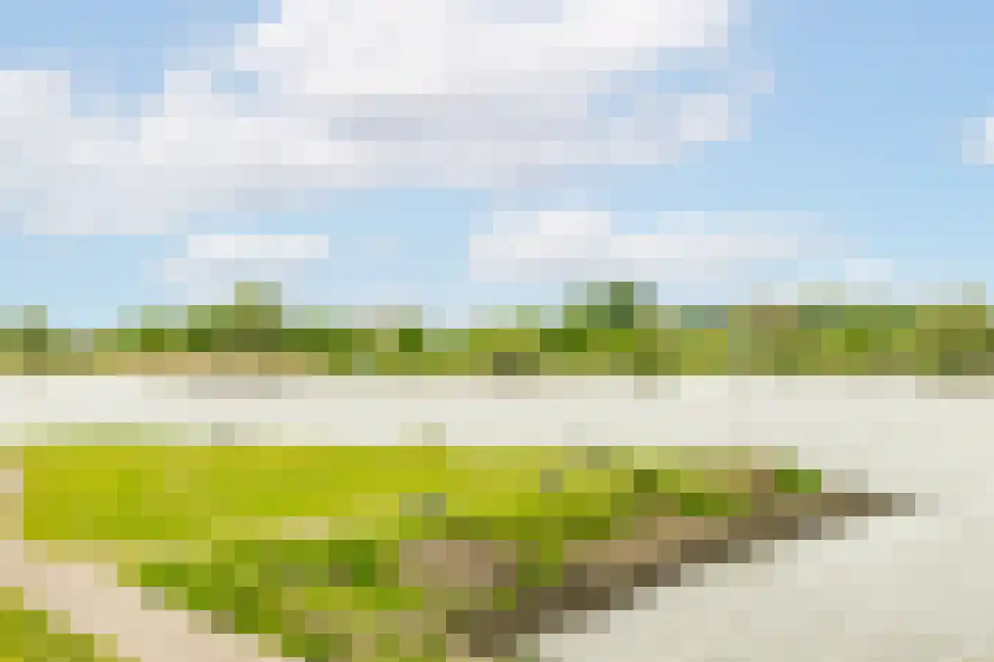 Dam 6 Ameide thumbnail 47