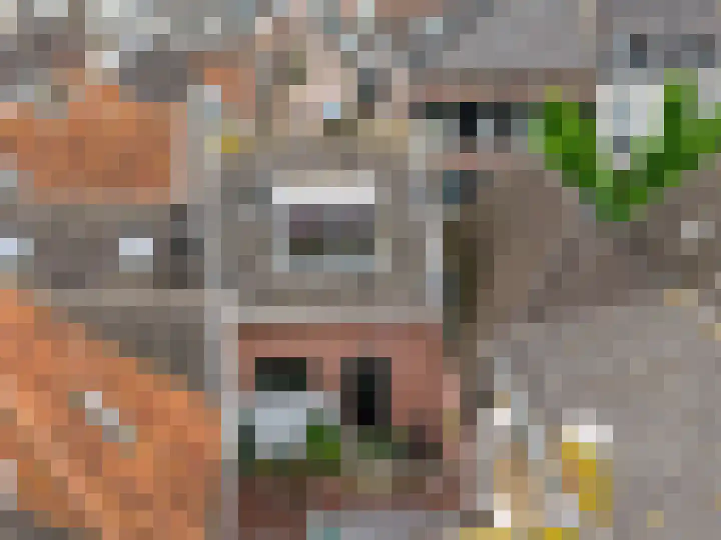 Dam 6 Ameide thumbnail 5
