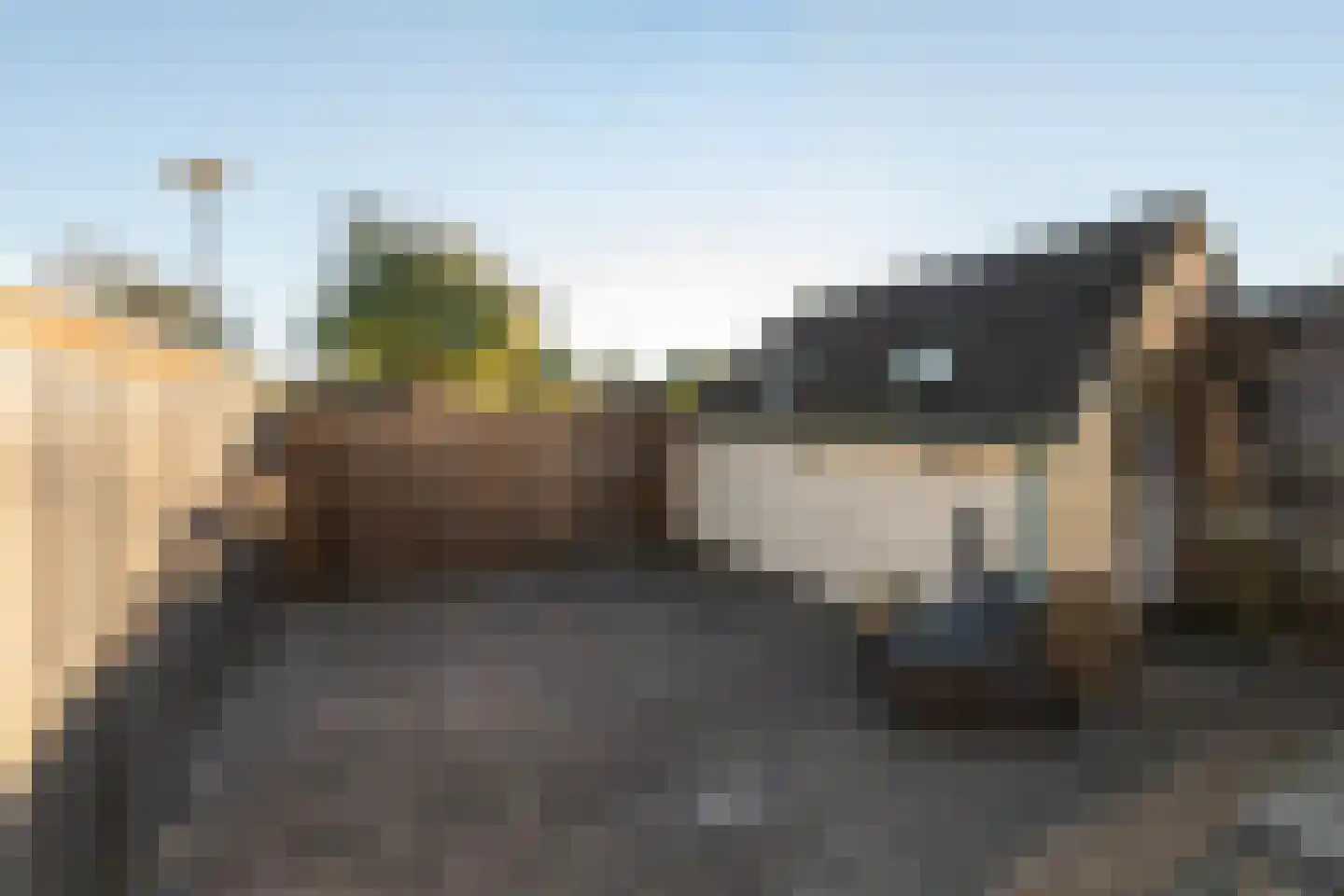 Dam 6 Grootebroek thumbnail 32