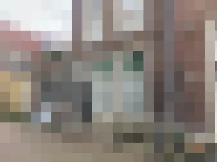 Dam 71 Middelburg thumbnail 17