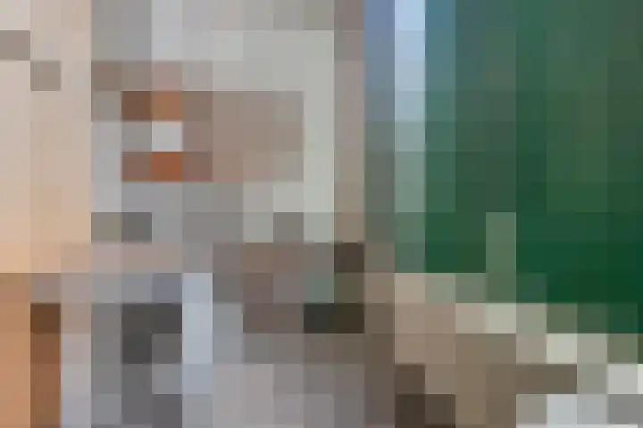 Dam 71 Middelburg thumbnail 21