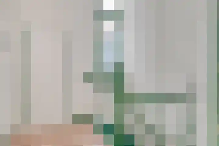 Dam 71 Middelburg thumbnail 22