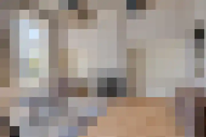 Dam 71 Middelburg thumbnail 30