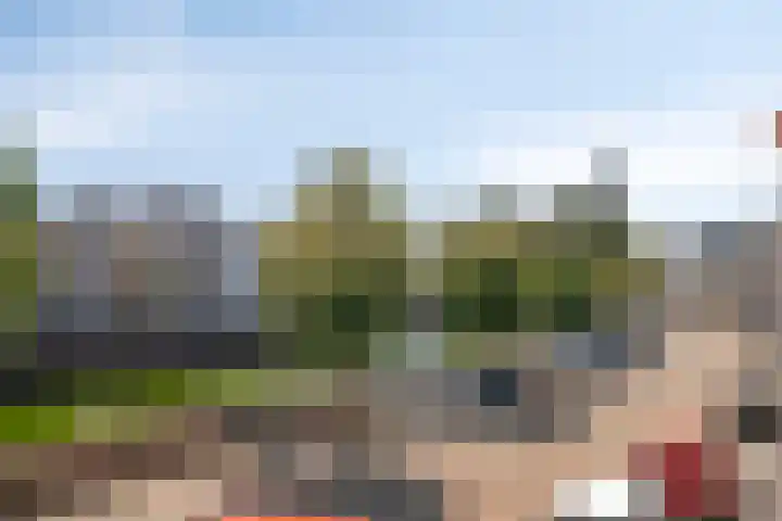 Dam 71 Middelburg thumbnail 33