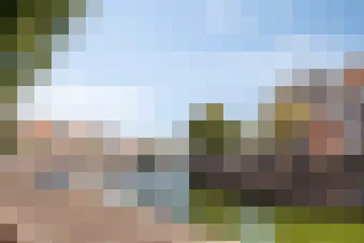 Dam 71 Middelburg thumbnail 45