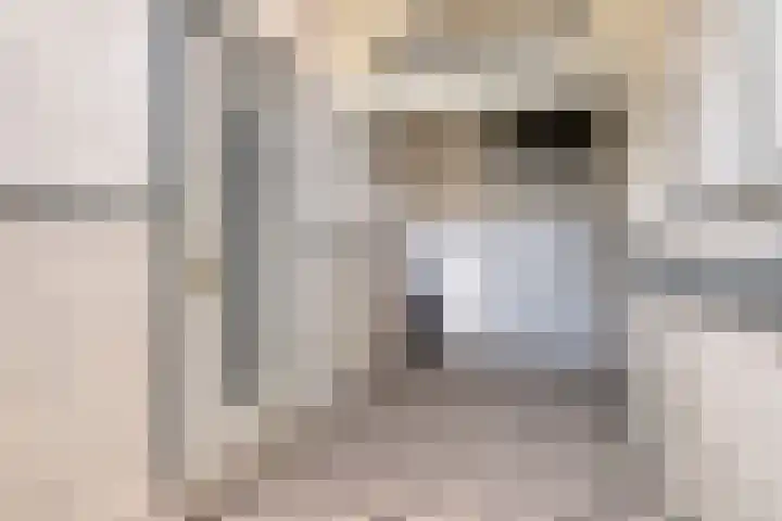 Dam 71 Middelburg thumbnail 6