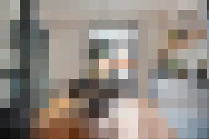 Dam 9 Arkel thumbnail 10
