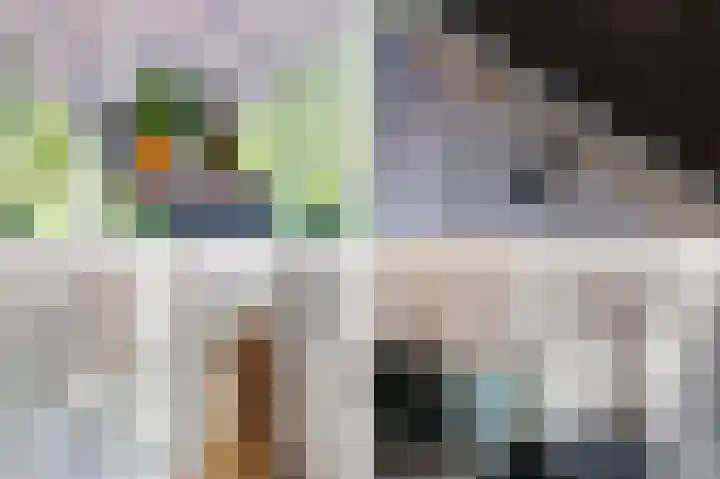 Dam 9 Arkel thumbnail 13