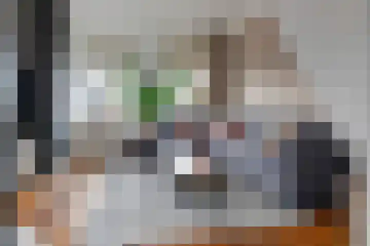 Dam 9 Arkel thumbnail 14
