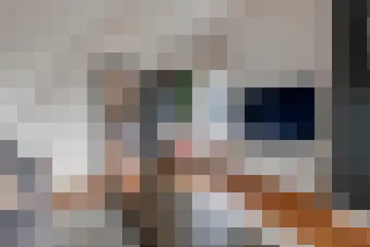 Dam 9 Arkel thumbnail 16