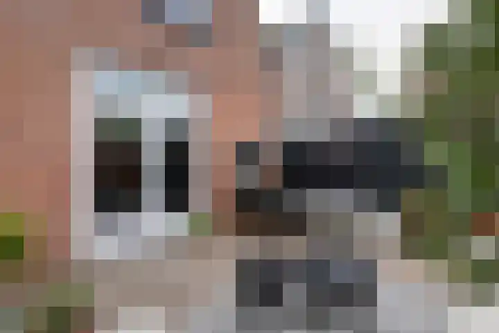 Dam 9 Arkel thumbnail 17