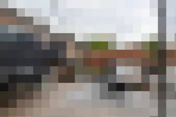 Dam 9 Arkel thumbnail 18
