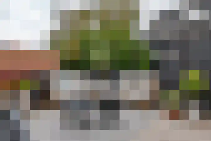 Dam 9 Arkel thumbnail 19