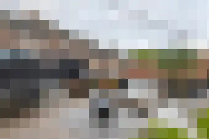 Dam 9 Arkel thumbnail 20