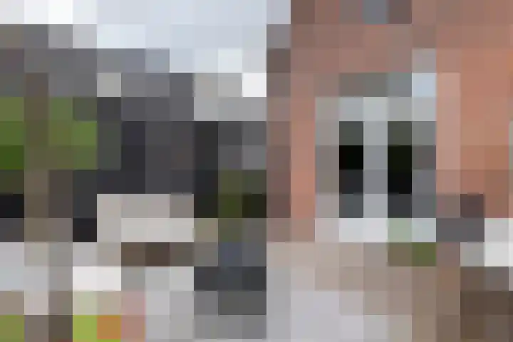 Dam 9 Arkel thumbnail 22