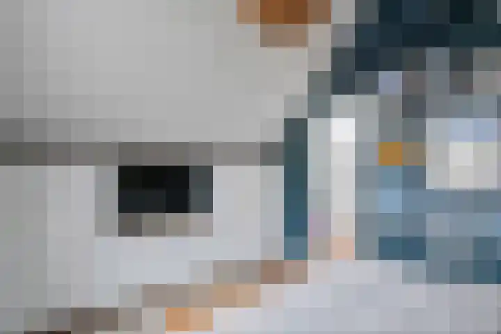 Dam 9 Arkel thumbnail 25