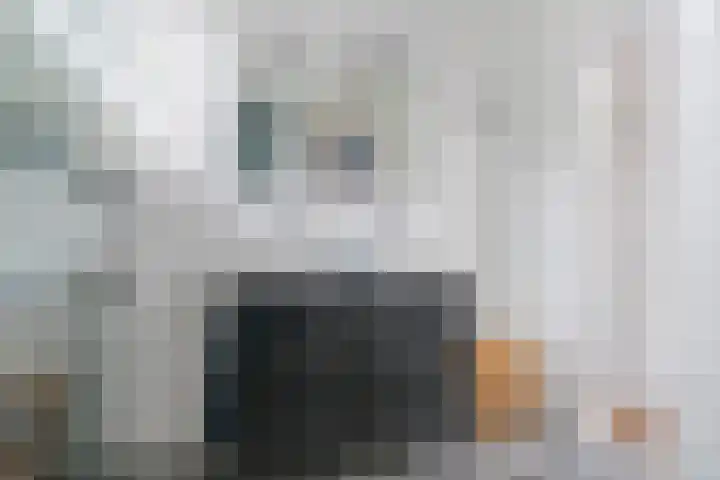 Dam 9 Arkel thumbnail 29
