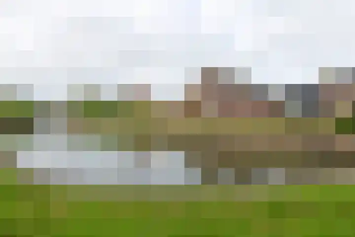 Dam 9 Arkel thumbnail 43