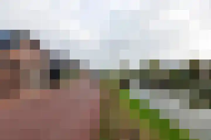 Dam 9 Arkel thumbnail 44