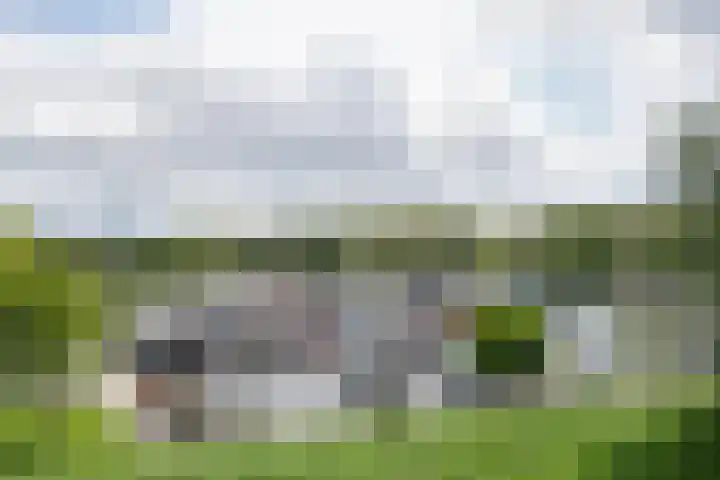 Dam 9 Arkel thumbnail 45