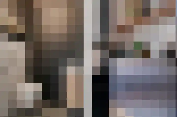 Dam 9 Arkel thumbnail 9