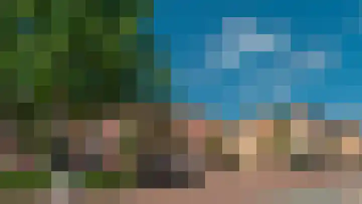 Dam 9 Medemblik thumbnail 6