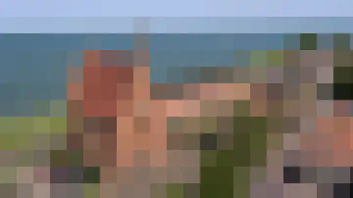 Dam 9 Medemblik thumbnail 9