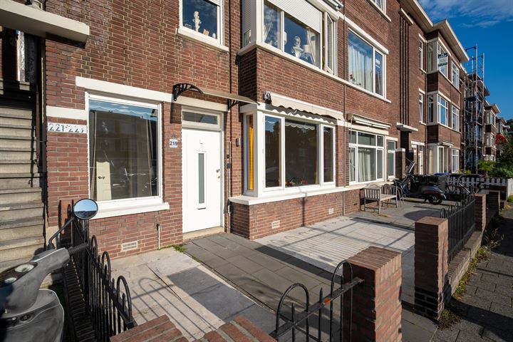 Damasstraat 219 in 's-Gravenhage Foto
