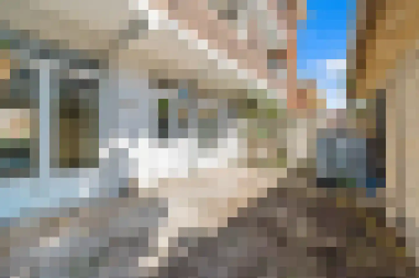 Damasstraat 335 Den Haag thumbnail 16