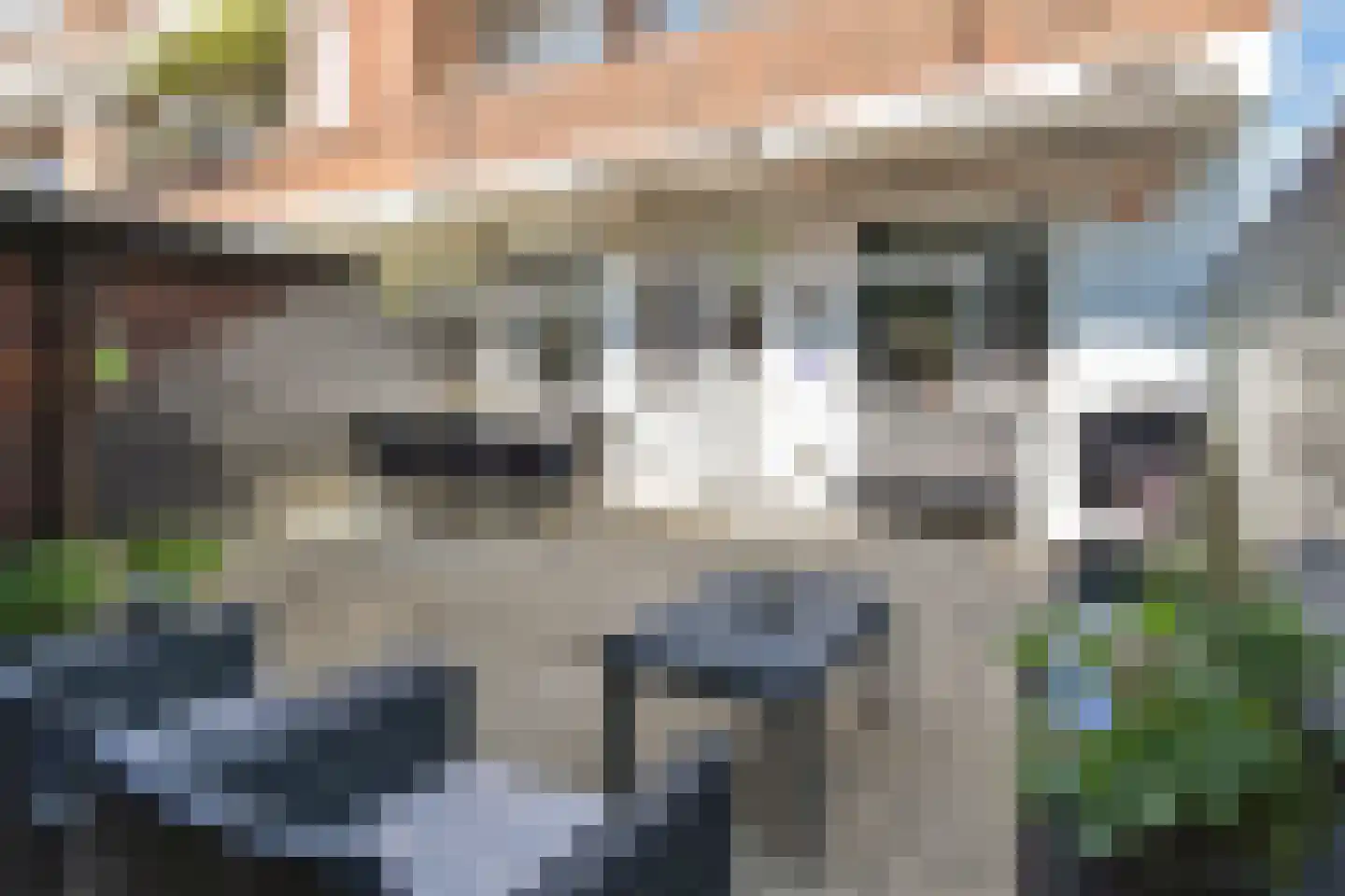 Damasstraat 96 Den Haag thumbnail 25