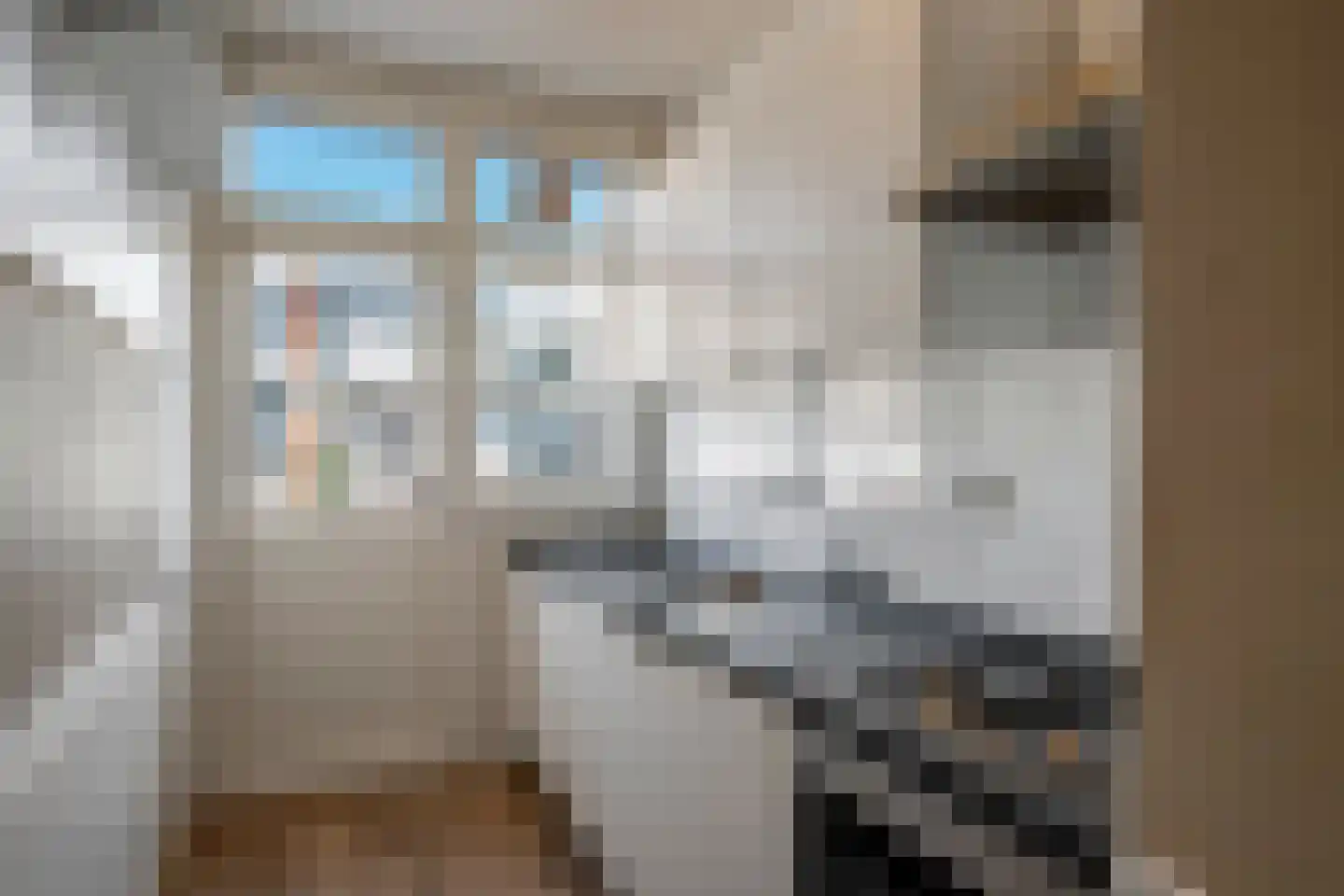 Damasstraat 97 Den Haag thumbnail 12