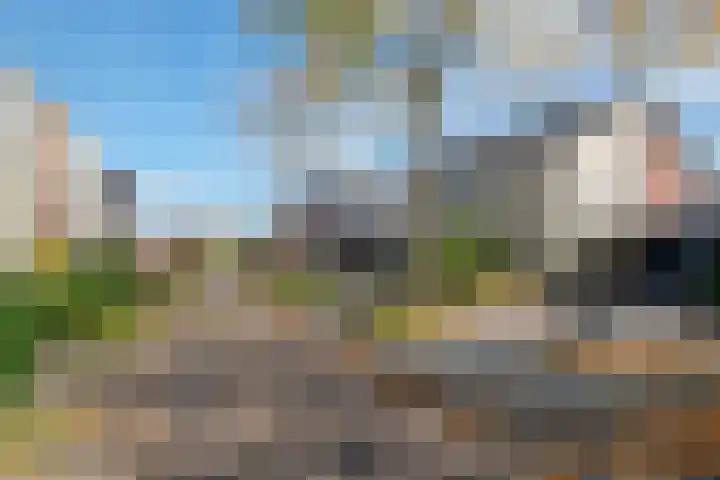 Damast 5 Almelo thumbnail 26