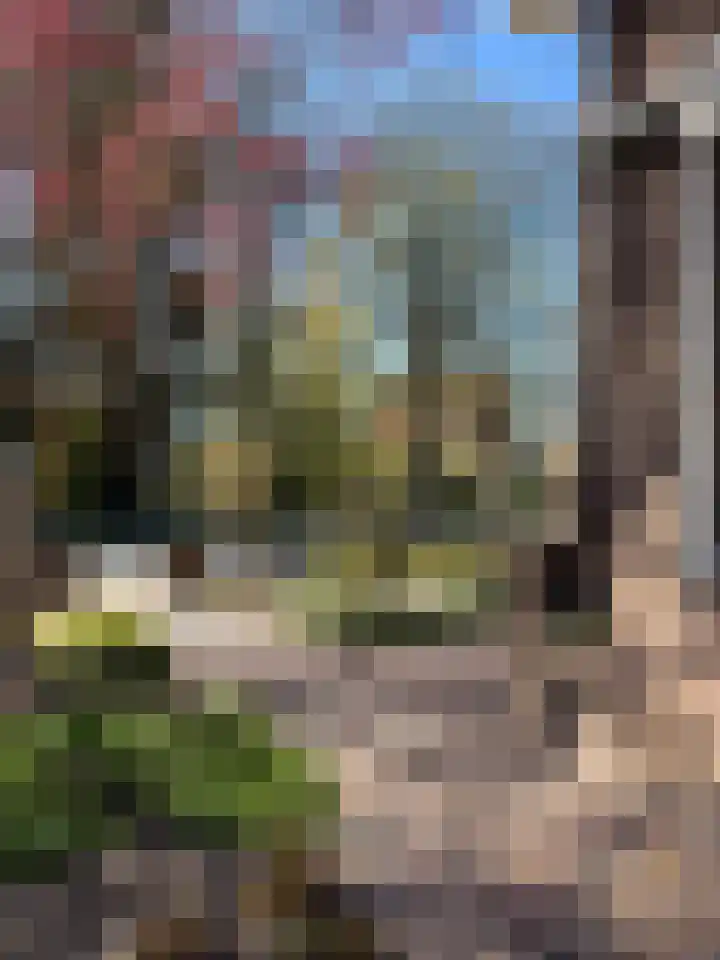 Damast 5 Almelo thumbnail 31