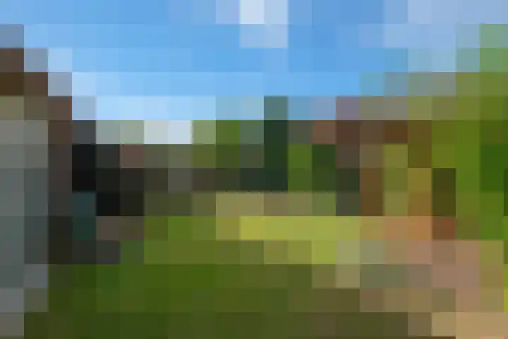 Damast 5 Almelo thumbnail 4