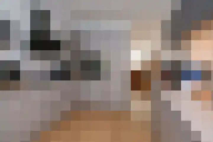 Damast 5 Almelo thumbnail 7