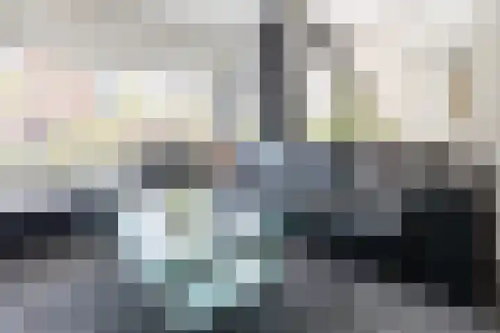 Damast 7 Geldrop thumbnail 11