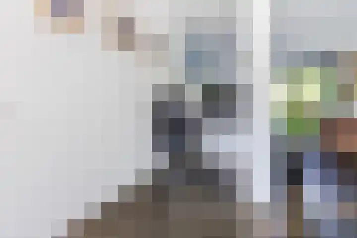 Damast 7 Geldrop thumbnail 13