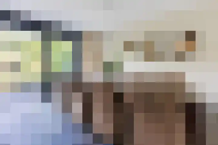 Damast 7 Geldrop thumbnail 15