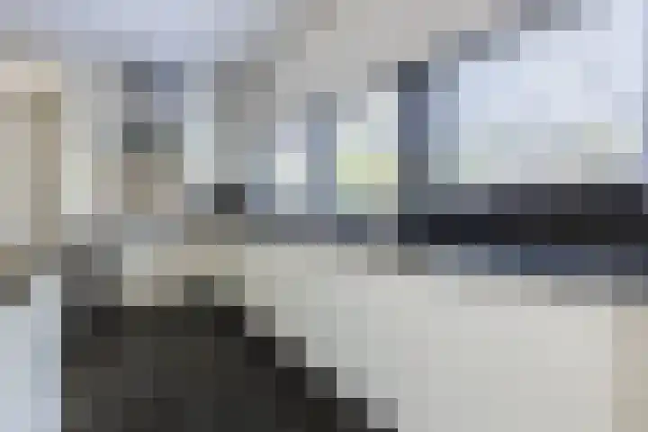 Damast 7 Geldrop thumbnail 18