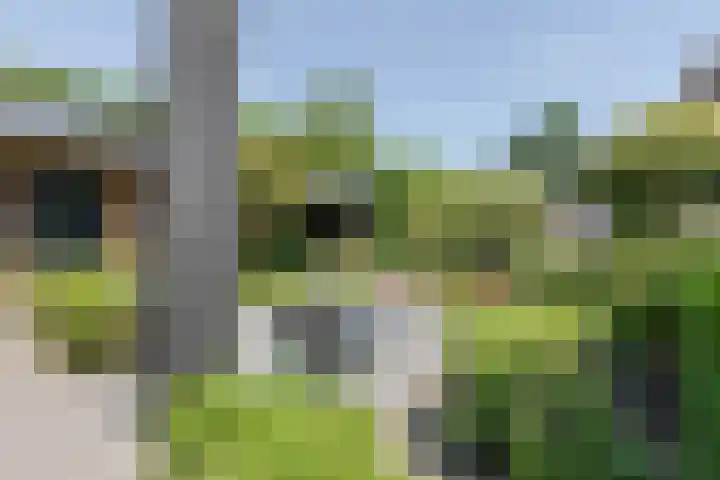 Damast 7 Geldrop foto 2