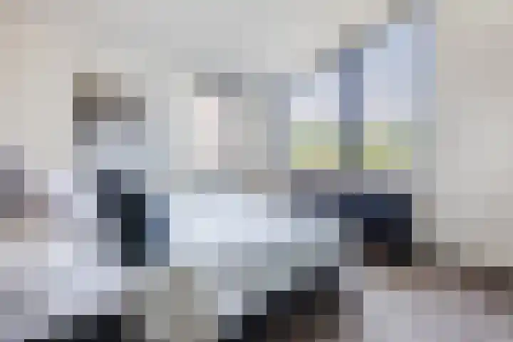 Damast 7 Geldrop thumbnail 28