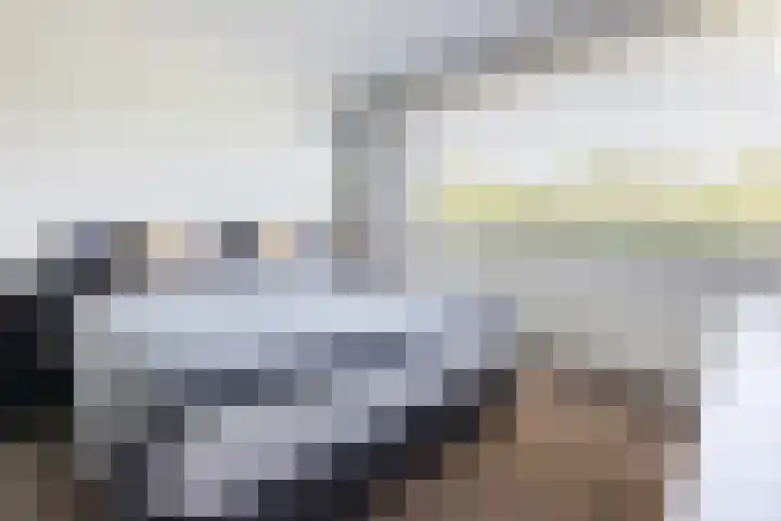 Damast 7 Geldrop thumbnail 32