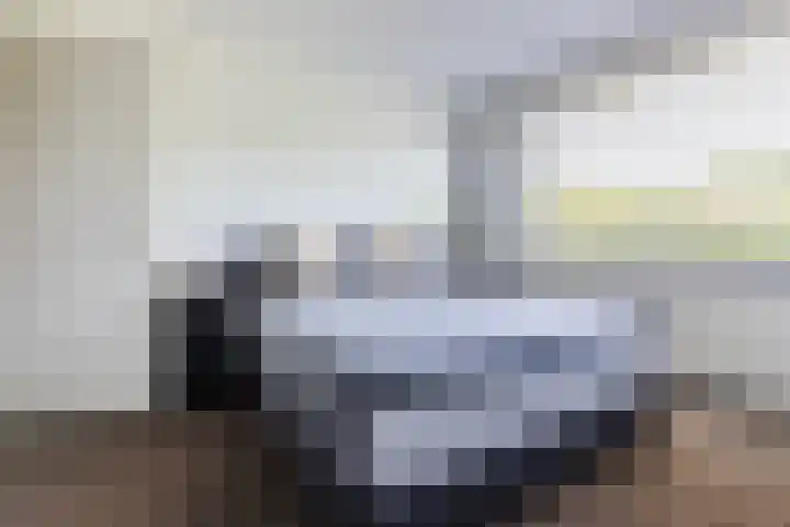 Damast 7 Geldrop thumbnail 33