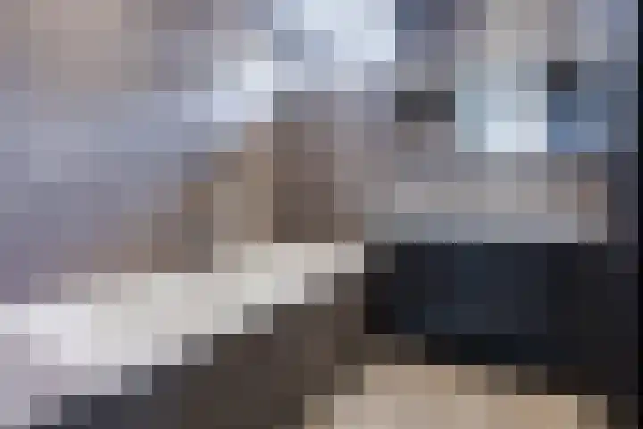 Damast 7 Geldrop thumbnail 41