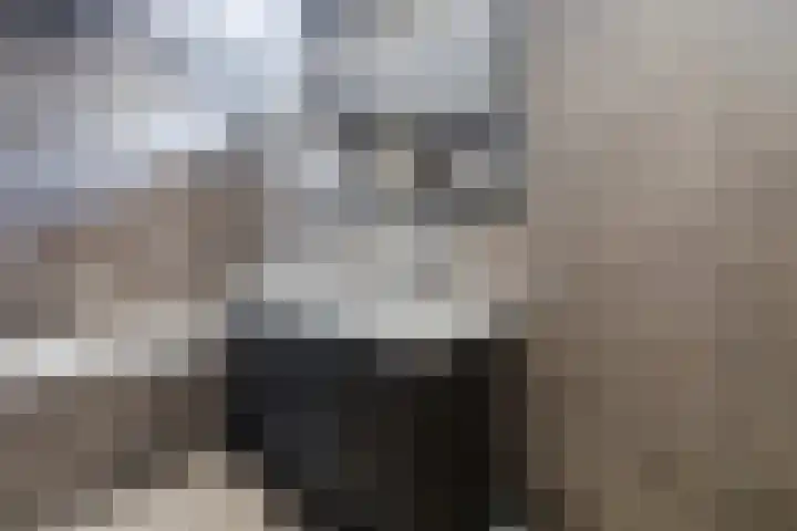 Damast 7 Geldrop thumbnail 42