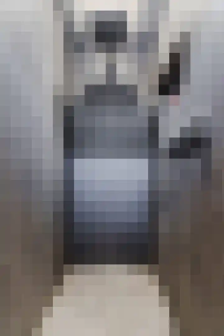 Damast 7 Geldrop thumbnail 43